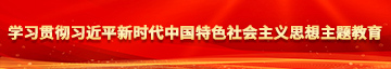 看外国老女人日屄学习贯彻习近平新时代中国特色社会主义思想主题教育